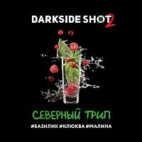Табак для кальяна "DarkSide" Shot (Северный трип), 30 г