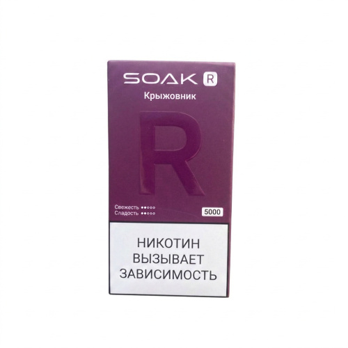 Одноразовая ЭС Soak Soak R5000 Крыжовник