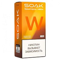 Одноразовая ЭС Soak Soak W10000 Пряный персик с лаймом