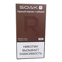 Одноразовая ЭС Soak Soak R5000 Пряный персик с лаймом