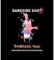 Табак для кальяна "DarkSide" Shot A (Волжский чилл), 30 г